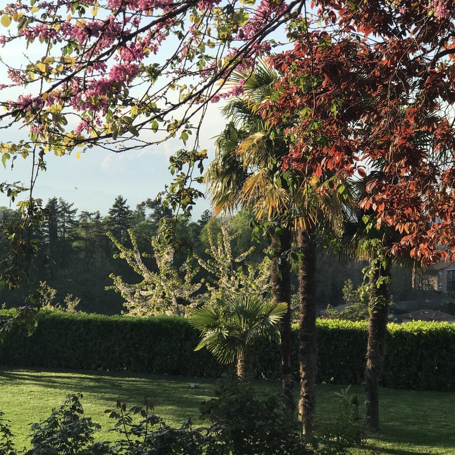 Residenza Ambrogi Bed & Breakfast Urbino Bagian luar foto